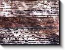 800x600 pixels (197.4K)