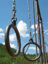 Click to see rings.jpg